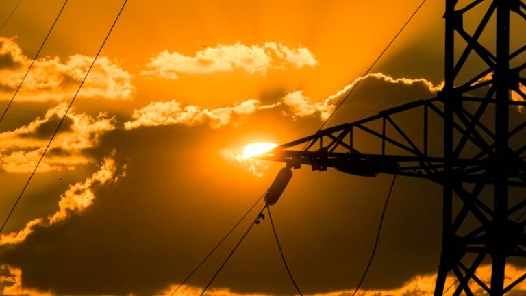 photo-1754587112196-63925012ac24